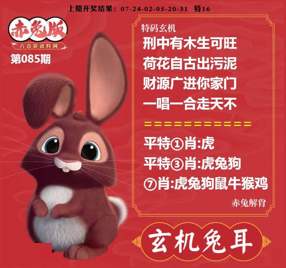 085期玄机兔耳[图]