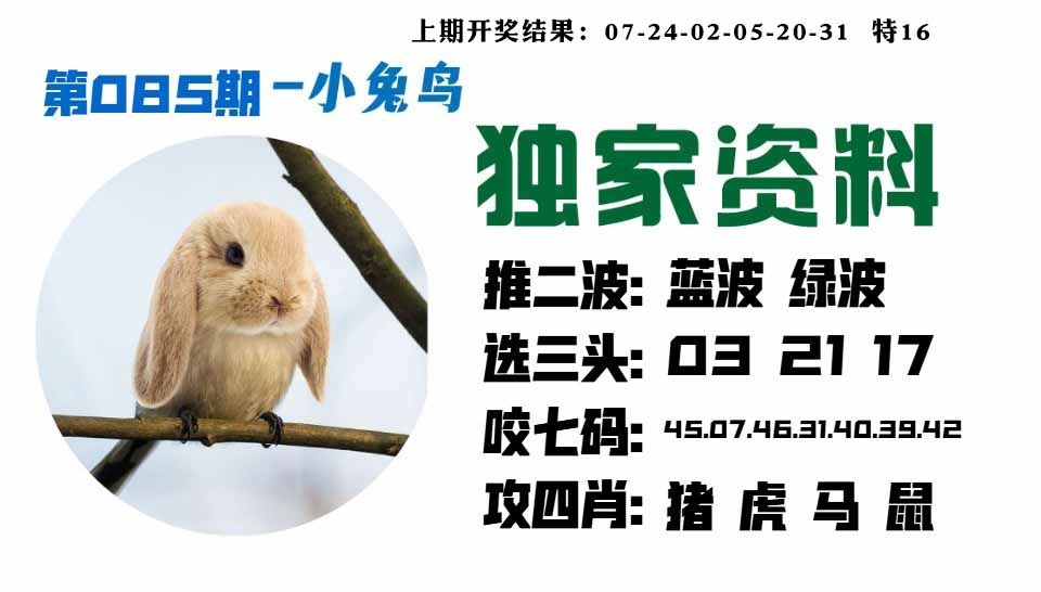 085期小兔鸟[图]